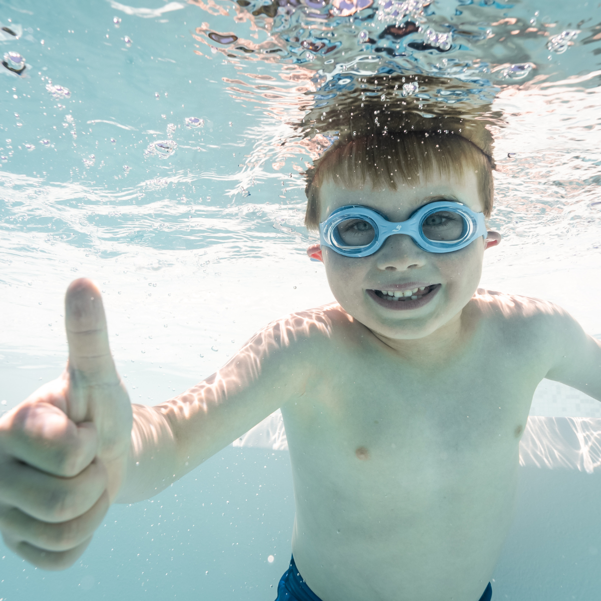 Why We Must Save Our Swimming Pools Blog