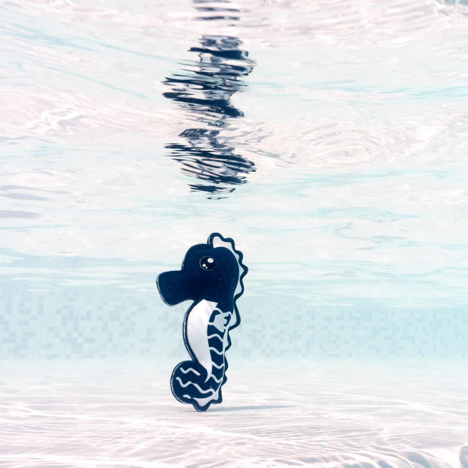 Must-Have Swimming Accessories for Kids