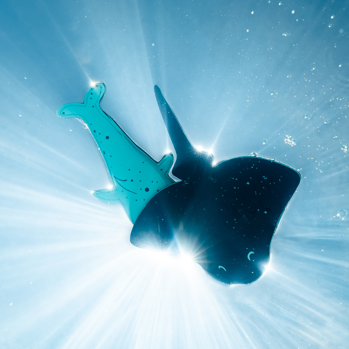 Meet our Gurus Part 2 Blog