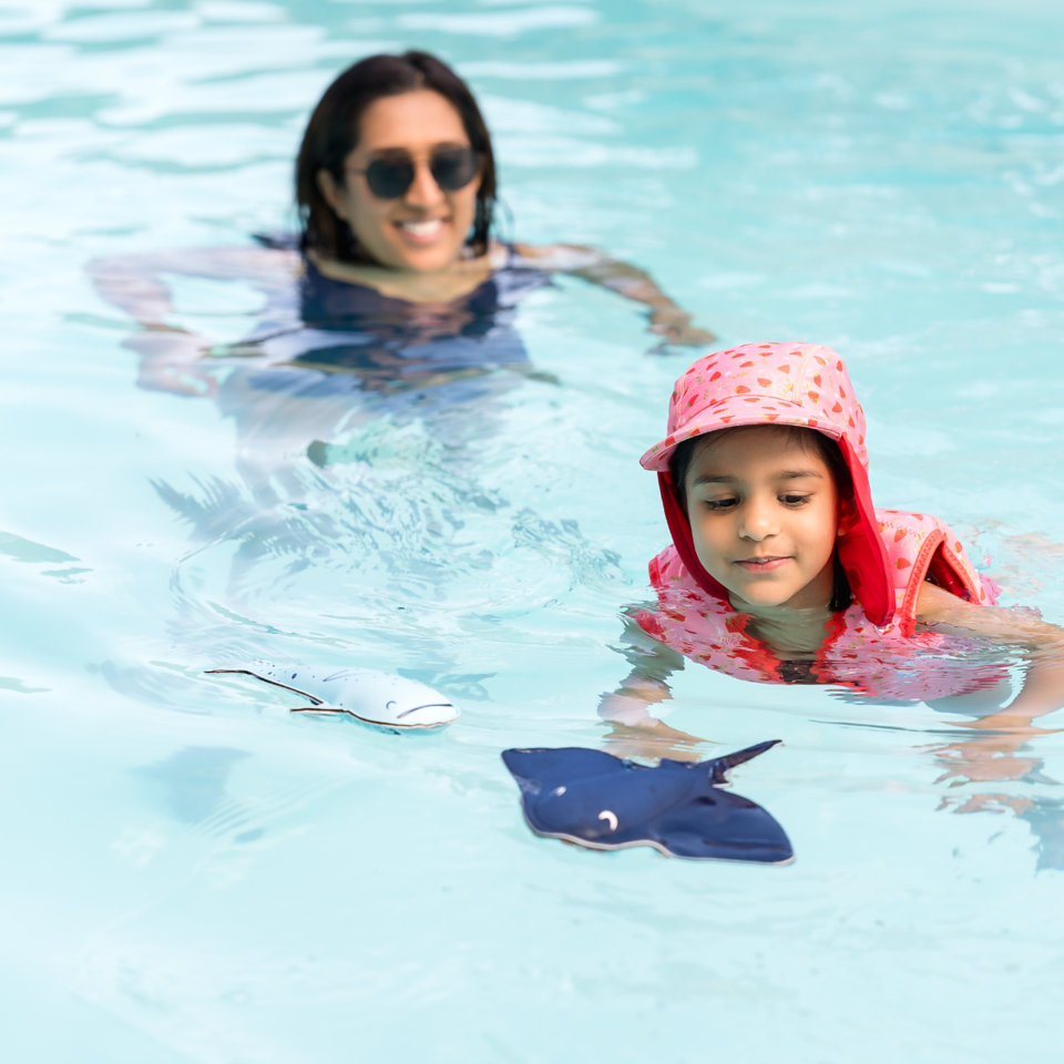 Wal- & Stachelrochen-Snippets