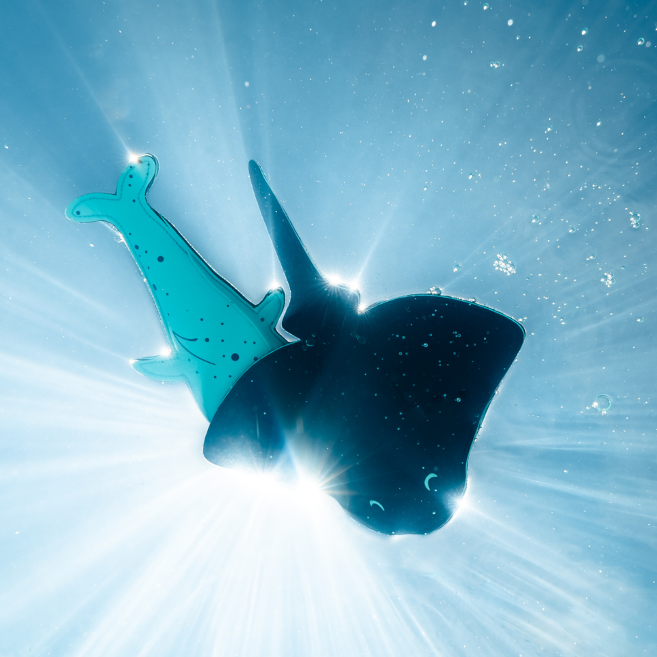 Wal- & Stachelrochen-Snippets