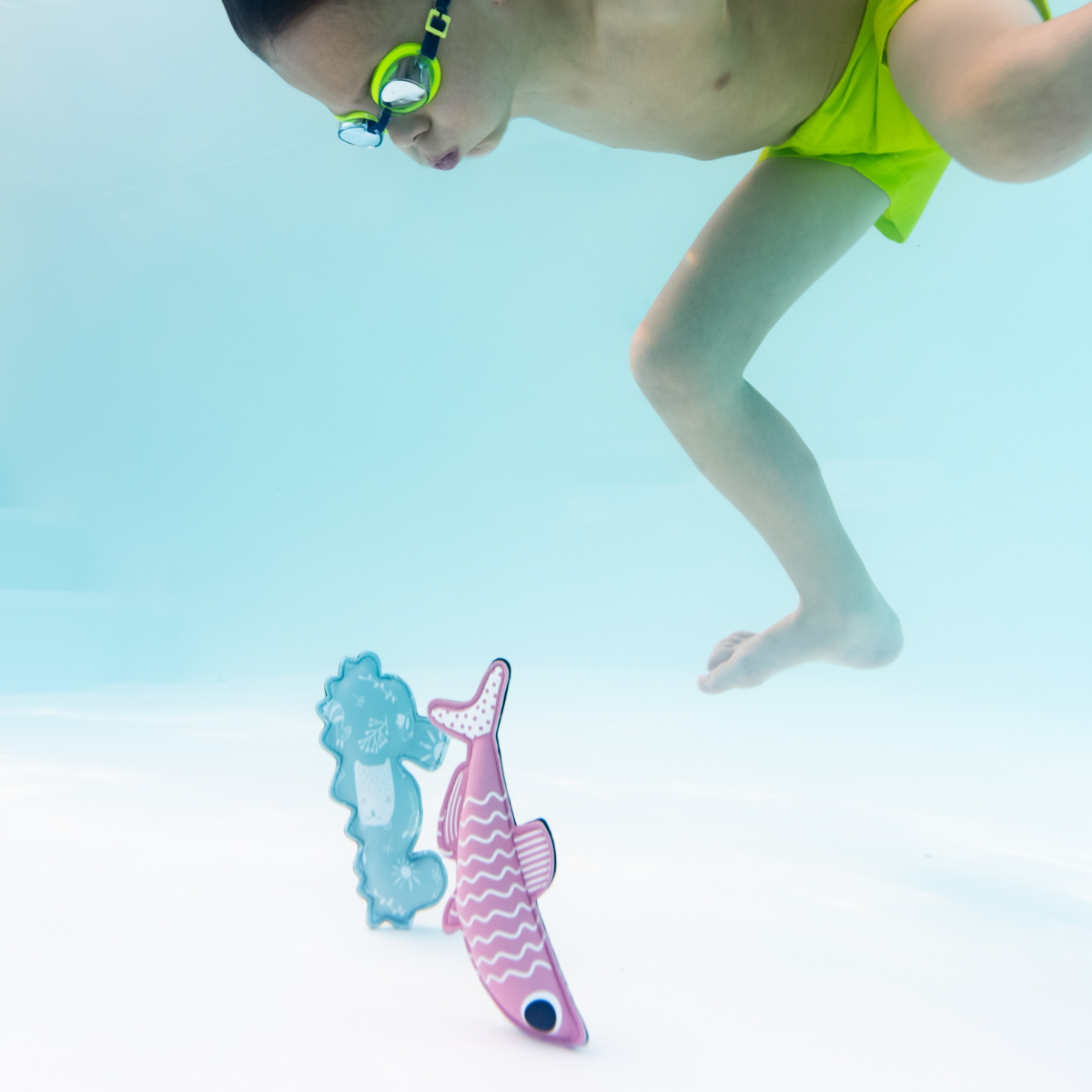 Seahorse & Sardine Snippets