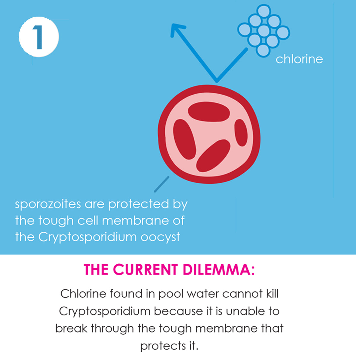 Happy Nappy Duo™ White Birds