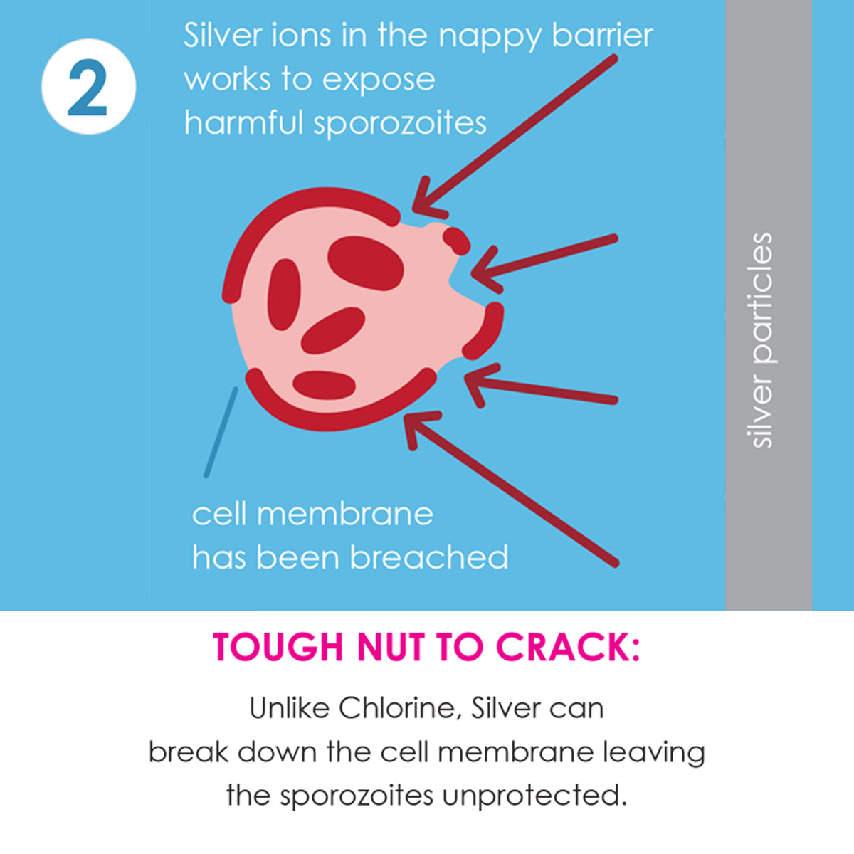 Happy Nappy Duo™ Up & Away