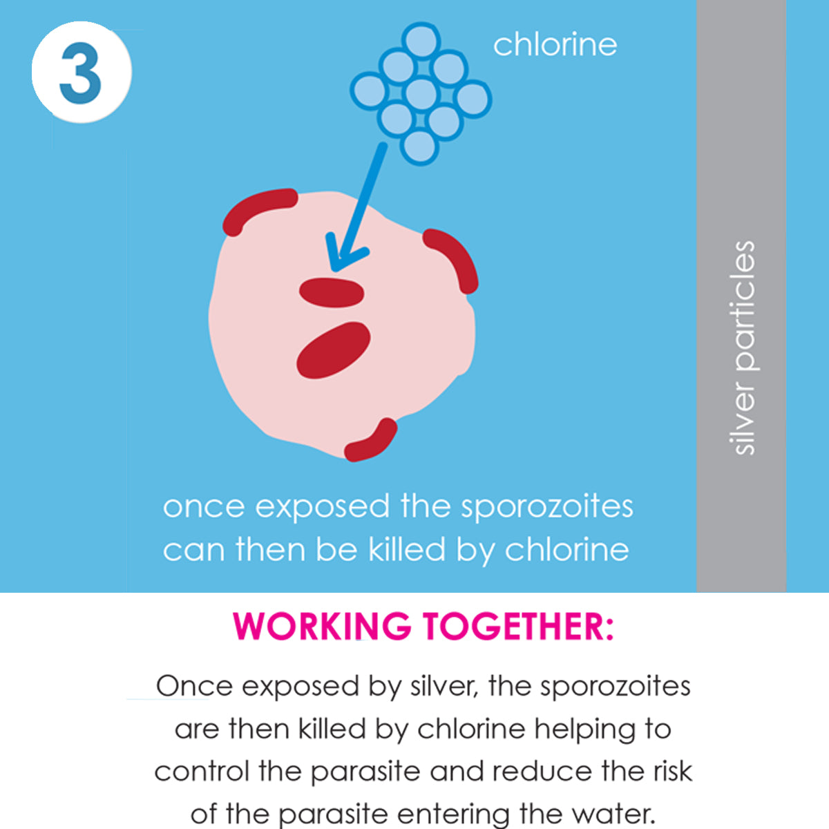 Happy Nappy Duo™ Up & Away